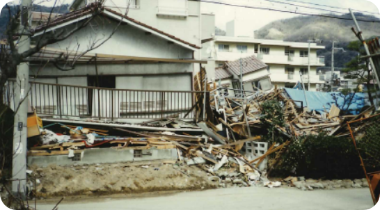 1995年1月